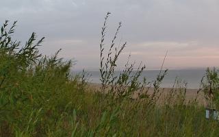 Władysławowo - plaża zachód - 03-08-2025 03:11