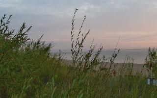 Władysławowo - plaża zachód - 03-08-2025 03:18
