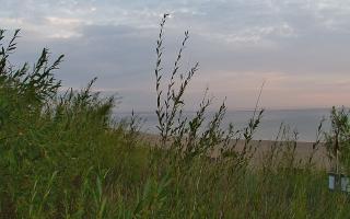 Władysławowo - plaża zachód - 03-08-2025 03:26