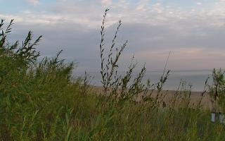 Władysławowo - plaża zachód - 03-08-2025 03:34