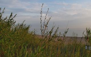 Władysławowo - plaża zachód - 03-08-2025 03:49