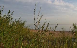 Władysławowo - plaża zachód - 03-08-2025 04:12