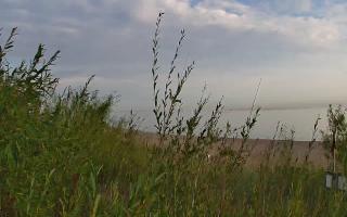 Władysławowo - plaża zachód - 03-08-2025 04:20