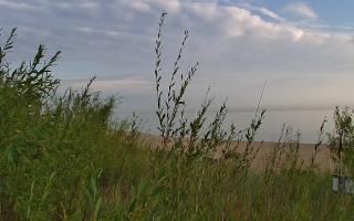 Władysławowo - plaża zachód - 03-08-2025 04:28