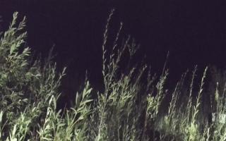 Władysławowo - plaża zachód - 28-08-2025 01:42