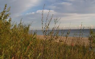 Władysławowo - plaża zachód - 15-09-2025 05:09