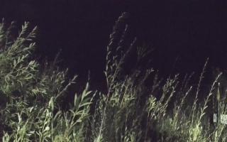 Władysławowo - plaża zachód - 16-09-2025 19:44