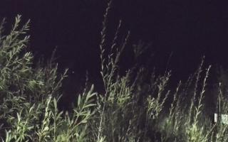 Władysławowo - plaża zachód - 16-09-2025 19:59