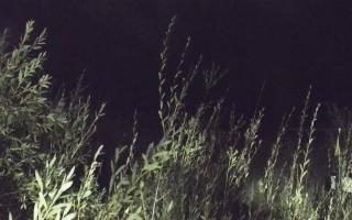 Władysławowo - plaża zachód - 17-09-2025 20:41