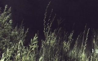 Władysławowo - plaża zachód - 17-09-2025 20:48