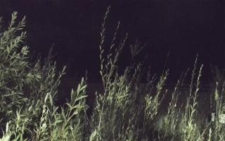 Władysławowo - plaża zachód - 17-09-2025 21:19