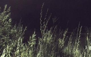 Władysławowo - plaża zachód - 17-09-2025 21:27