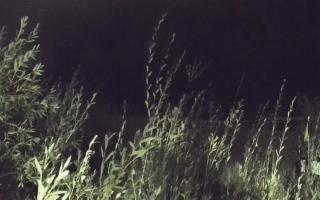 Władysławowo - plaża zachód - 17-09-2025 21:35