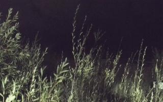 Władysławowo - plaża zachód - 17-09-2025 21:42