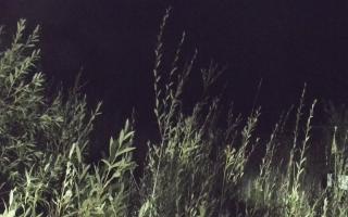 Władysławowo - plaża zachód - 17-09-2025 22:52