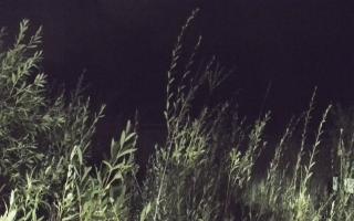 Władysławowo - plaża zachód - 17-09-2025 22:59