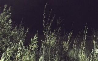 Władysławowo - plaża zachód - 17-09-2025 23:07