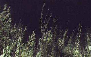 Władysławowo - plaża zachód - 17-09-2025 23:30