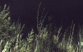 Władysławowo - plaża zachód - 17-09-2025 23:53