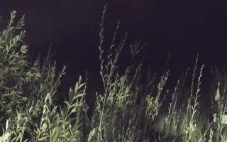 Władysławowo - plaża zachód - 18-09-2025 00:17