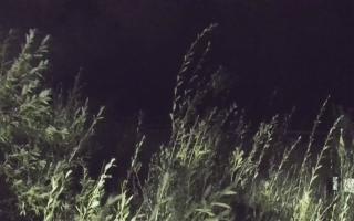 Władysławowo - plaża zachód - 18-09-2025 00:32
