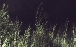 Władysławowo - plaża zachód - 18-09-2025 01:11