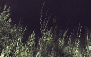 Władysławowo - plaża zachód - 18-09-2025 01:18