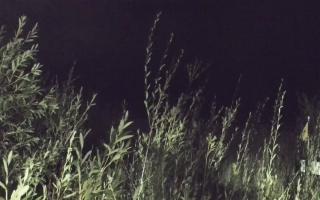 Władysławowo - plaża zachód - 18-09-2025 01:57