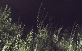 Władysławowo - plaża zachód - 18-09-2025 02:20