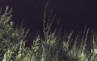 Władysławowo - plaża zachód - 18-09-2025 02:28