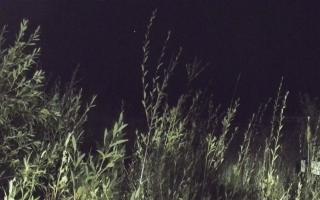 Władysławowo - plaża zachód - 18-09-2025 02:43