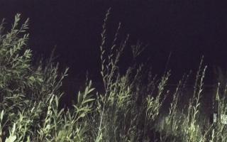 Władysławowo - plaża zachód - 18-09-2025 02:51