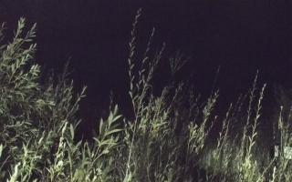 Władysławowo - plaża zachód - 18-09-2025 02:59