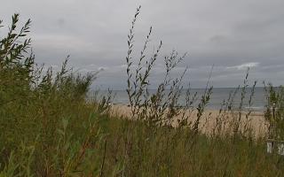 Władysławowo - plaża zachód - 18-09-2025 08:54