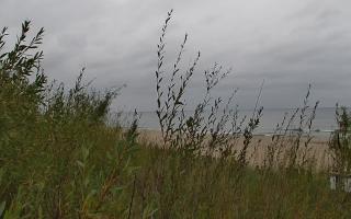 Władysławowo - plaża zachód - 18-09-2025 09:32