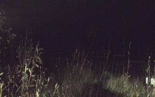 Władysławowo - plaża zachód - 13-12-2025 04:14