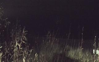 Władysławowo - plaża zachód - 13-12-2025 04:29