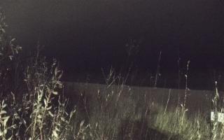 Władysławowo - plaża zachód - 13-12-2025 15:49