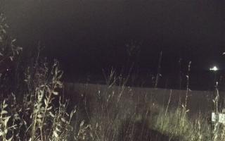 Władysławowo - plaża zachód - 13-12-2025 15:56