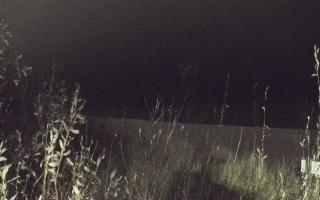 Władysławowo - plaża zachód - 13-12-2025 16:19