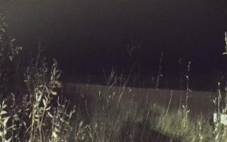 Władysławowo - plaża zachód - 13-12-2025 16:27