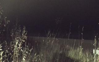 Władysławowo - plaża zachód - 13-12-2025 16:35