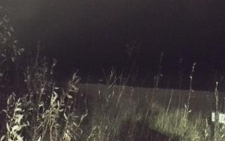 Władysławowo - plaża zachód - 13-12-2025 16:50