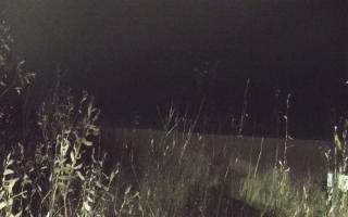 Władysławowo - plaża zachód - 13-12-2025 16:58