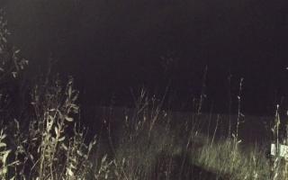 Władysławowo - plaża zachód - 13-12-2025 17:21