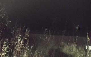 Władysławowo - plaża zachód - 13-12-2025 17:37