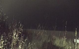 Władysławowo - plaża zachód - 13-12-2025 18:00