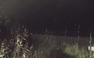 Władysławowo - plaża zachód - 13-12-2025 18:31