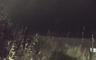 Władysławowo - plaża zachód - 13-12-2025 18:38