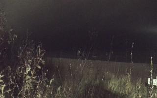 Władysławowo - plaża zachód - 13-12-2025 19:25